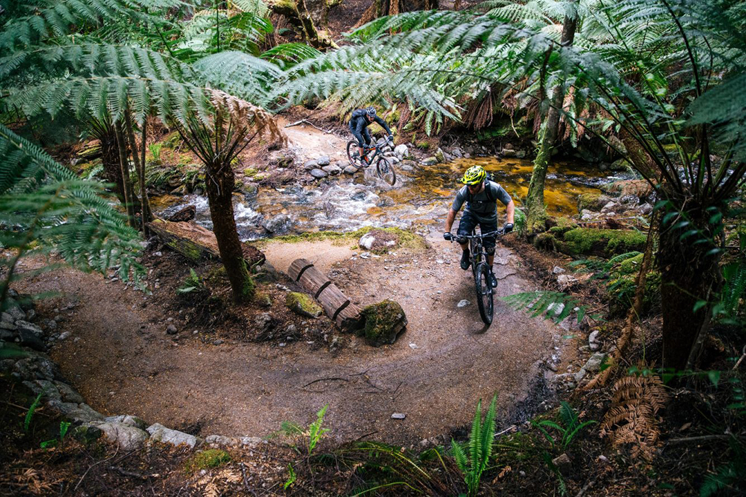Rain Trail