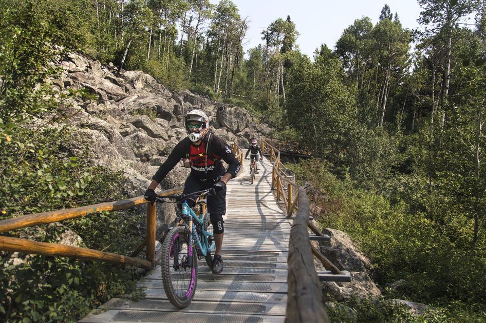 Bridge Trail